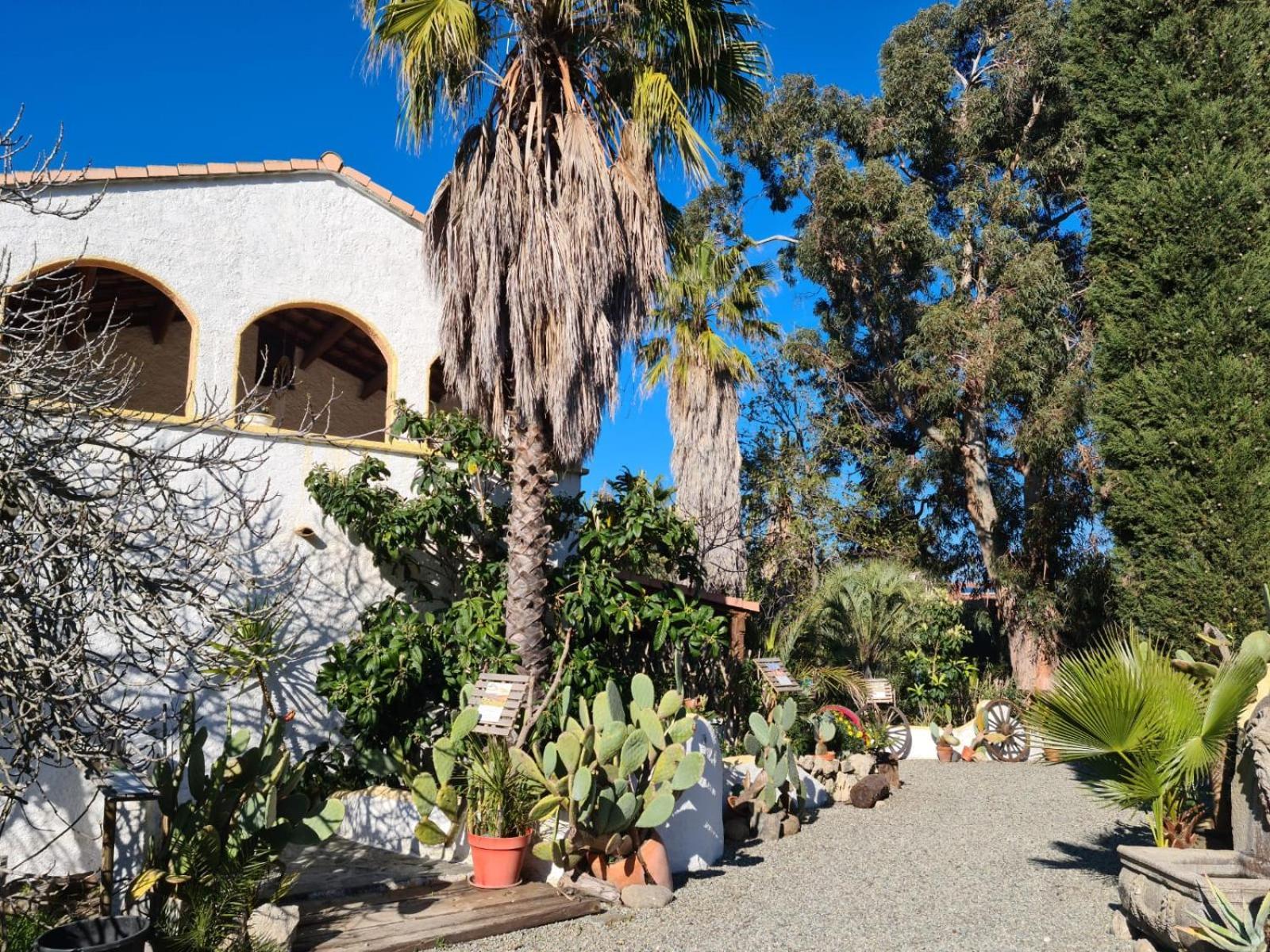 Ferienwohnung Relais de Bravone Linguizzetta Exterior foto